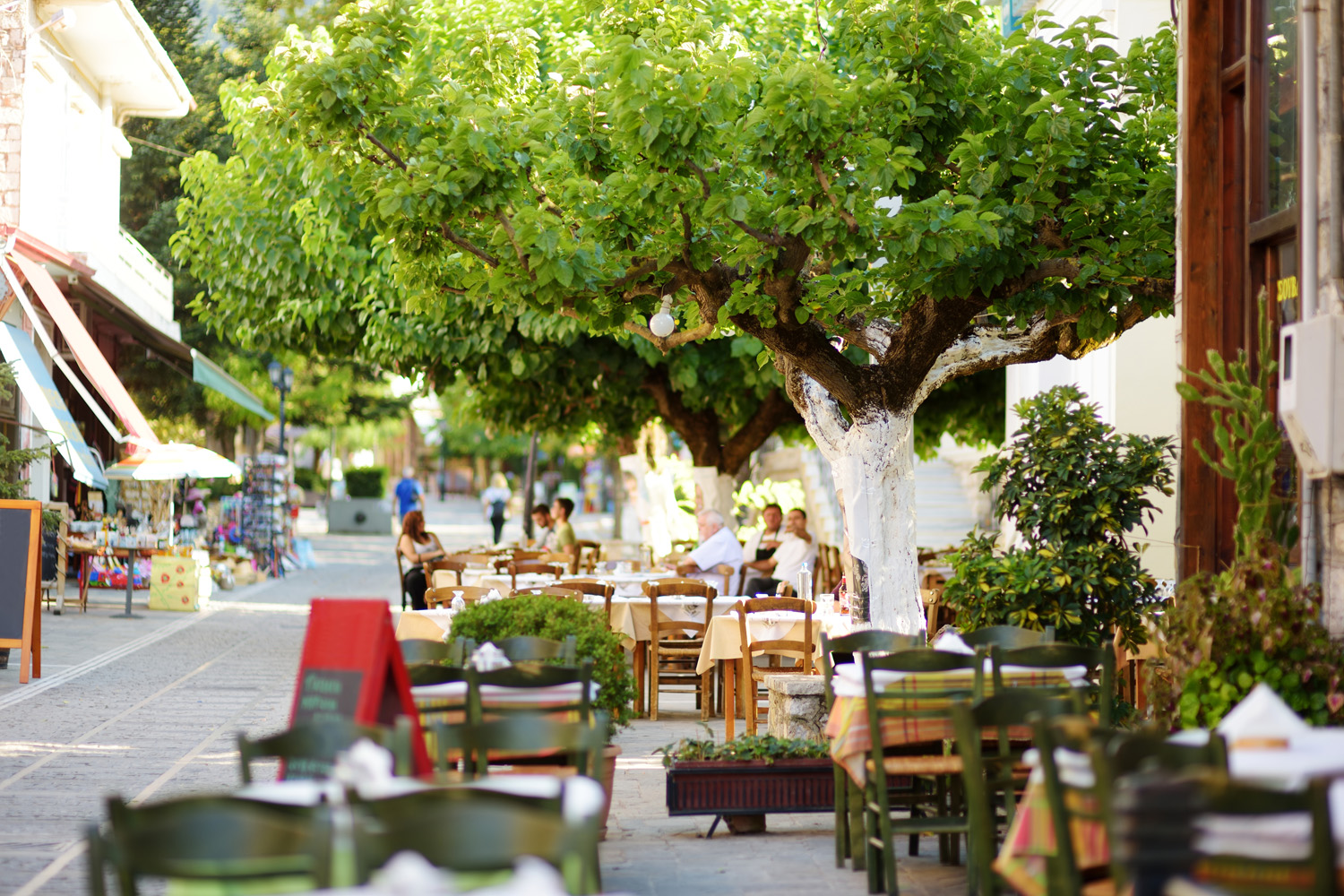 Social Street Work σε Ερύμανθο και Καλάβρυτα
